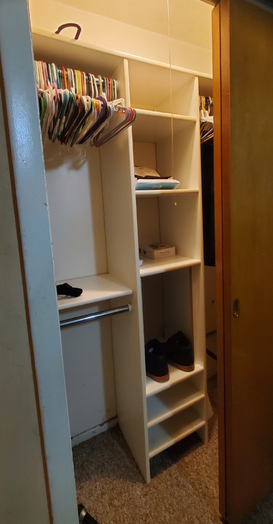 91 Lippincott Road Fox Lake, IL 60020 - Photo 13 of 40 a view of walk in closet