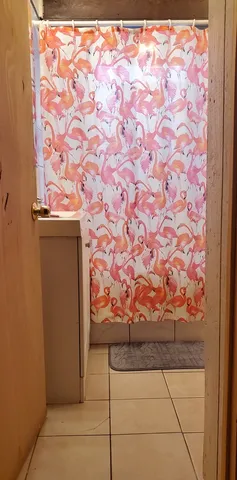 a bathroom with a bathtub and shower