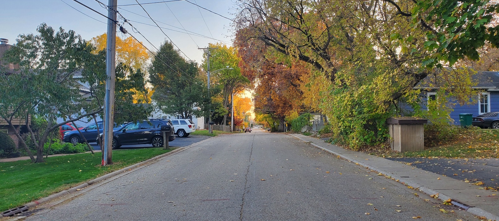 91 Lippincott Road Fox Lake, IL 60020 - Photo 33 of 40 a view of a street with a building in the background