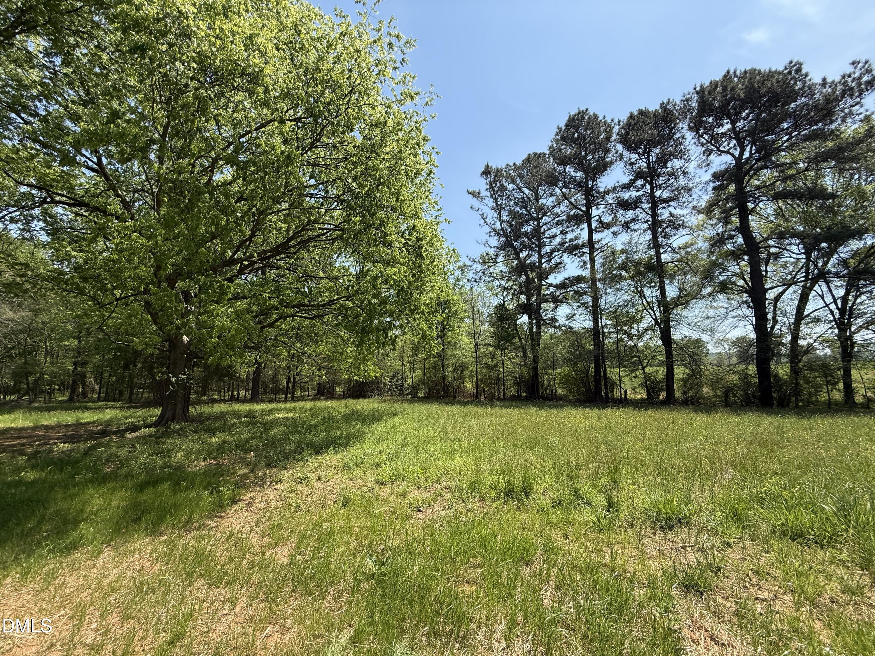 5545 Silk Hope Gum Spring Road Siler City, NC 27344 - Photo 23 of 26 acreage