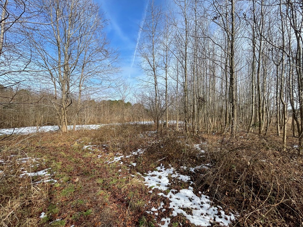 3.65 Old Neck Road, Unit 1 Weems, VA 22576 - Photo 18 of 35