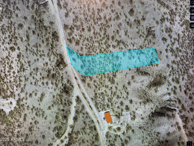 a view of a dry yard