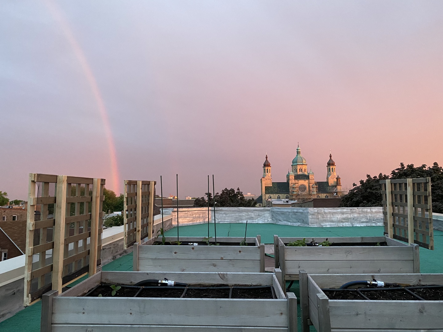 2238 West Walton Street, Unit 3 Chicago, IL 60622 - Photo 25 of 29 a view of a city