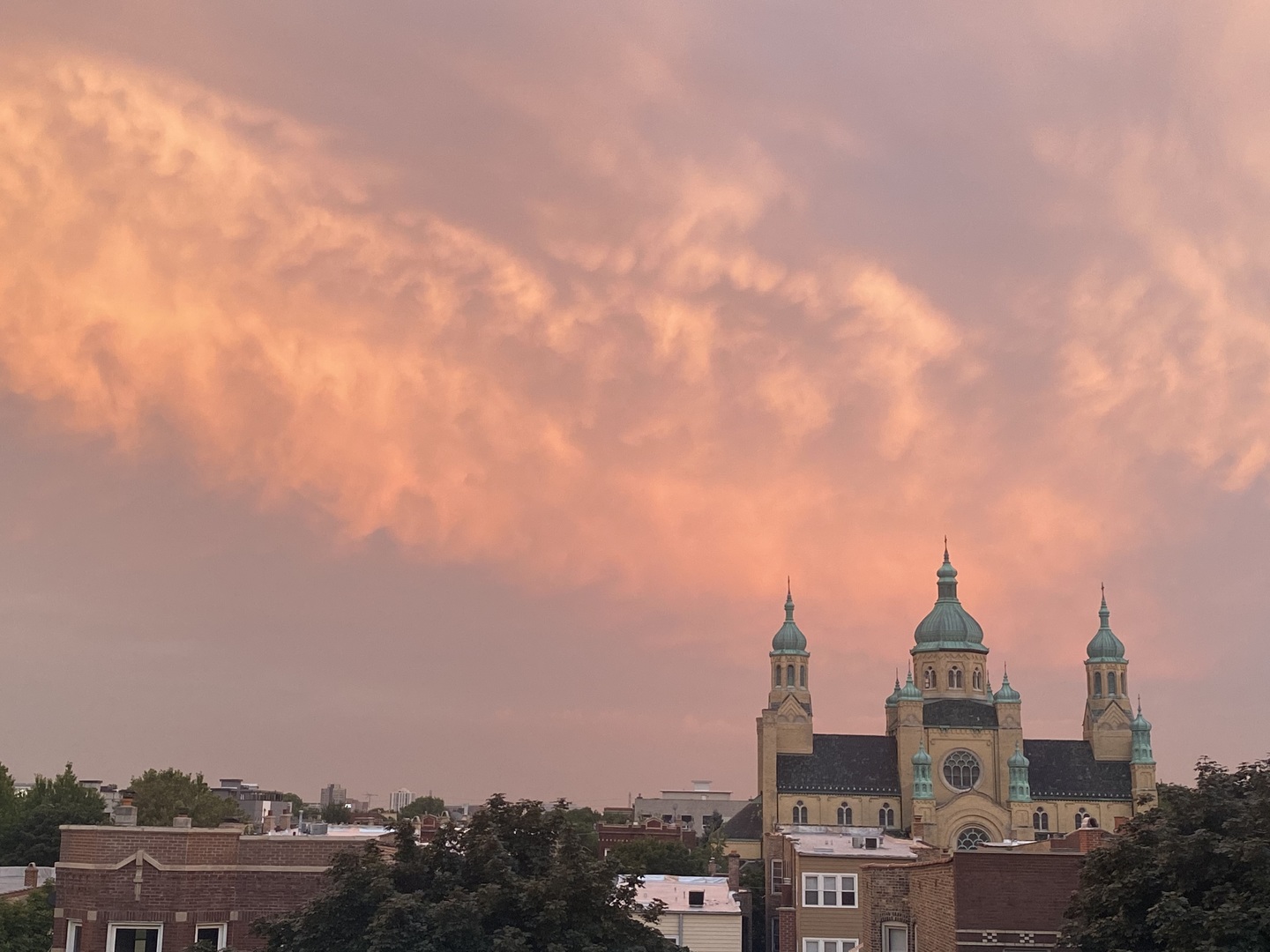 2238 West Walton Street, Unit 3 Chicago, IL 60622 - Photo 26 of 29 a view of a city with tall buildings