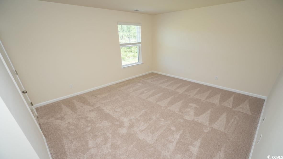 2614 Orion Loop Myrtle Beach, SC 29577 - Photo 17 of 30