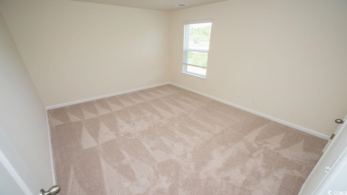 2614 Orion Loop Myrtle Beach, SC 29577 - Photo 19 of 30