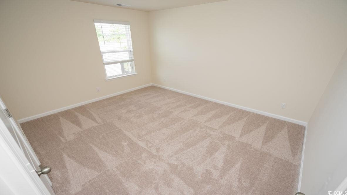 2614 Orion Loop Myrtle Beach, SC 29577 - Photo 22 of 30