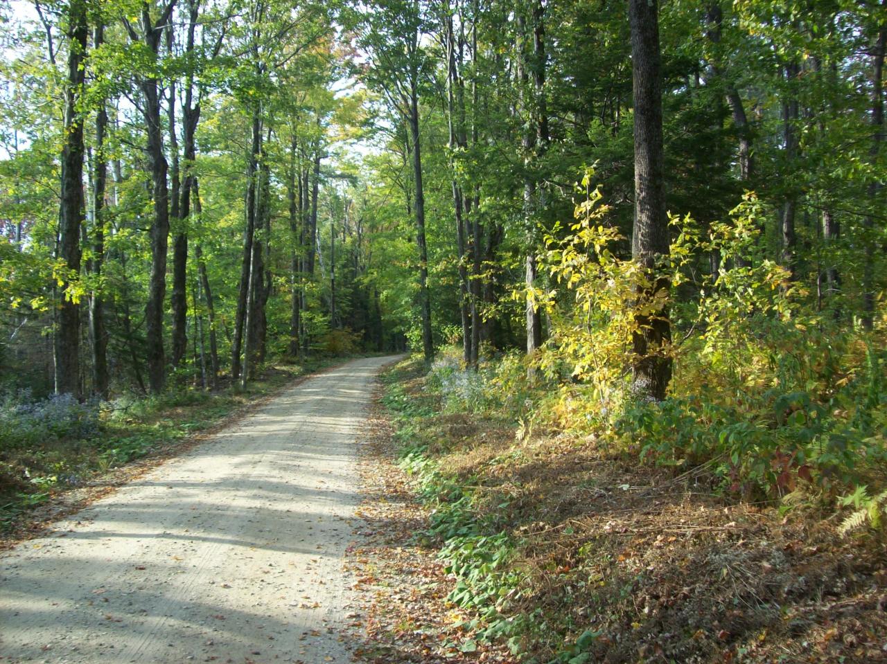 Shaw Road Windsor, MA 01270 - Photo 8 of 12 a view of outdoor space and trees