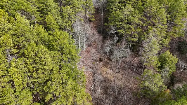 $254,600 | Tbd Holly Road, Murphy, NC 28906