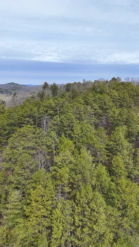 $254,600 | Tbd Holly Road, Murphy, NC 28906