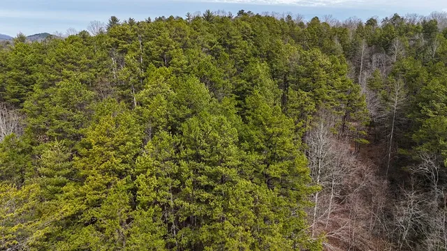 $254,600 | Tbd Holly Road, Murphy, NC 28906