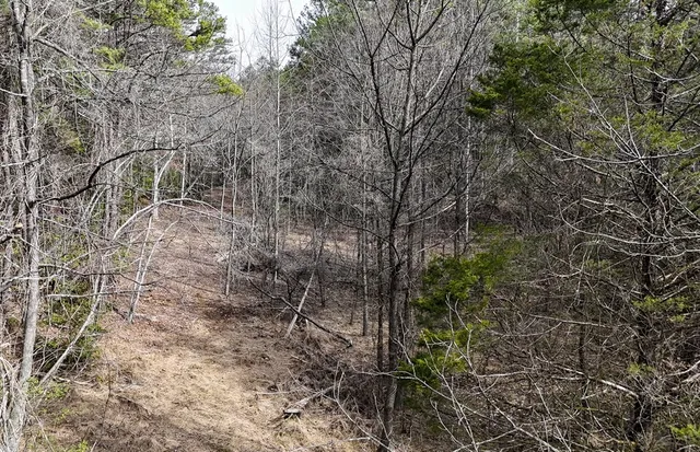 $254,600 | Tbd Holly Road, Murphy, NC 28906