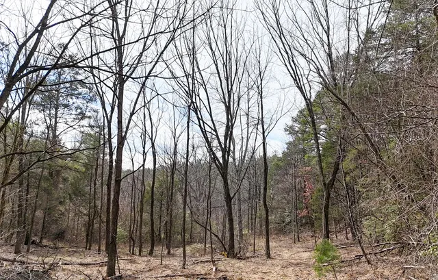 $254,600 | Tbd Holly Road, Murphy, NC 28906