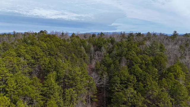 $254,600 | Tbd Holly Road, Murphy, NC 28906