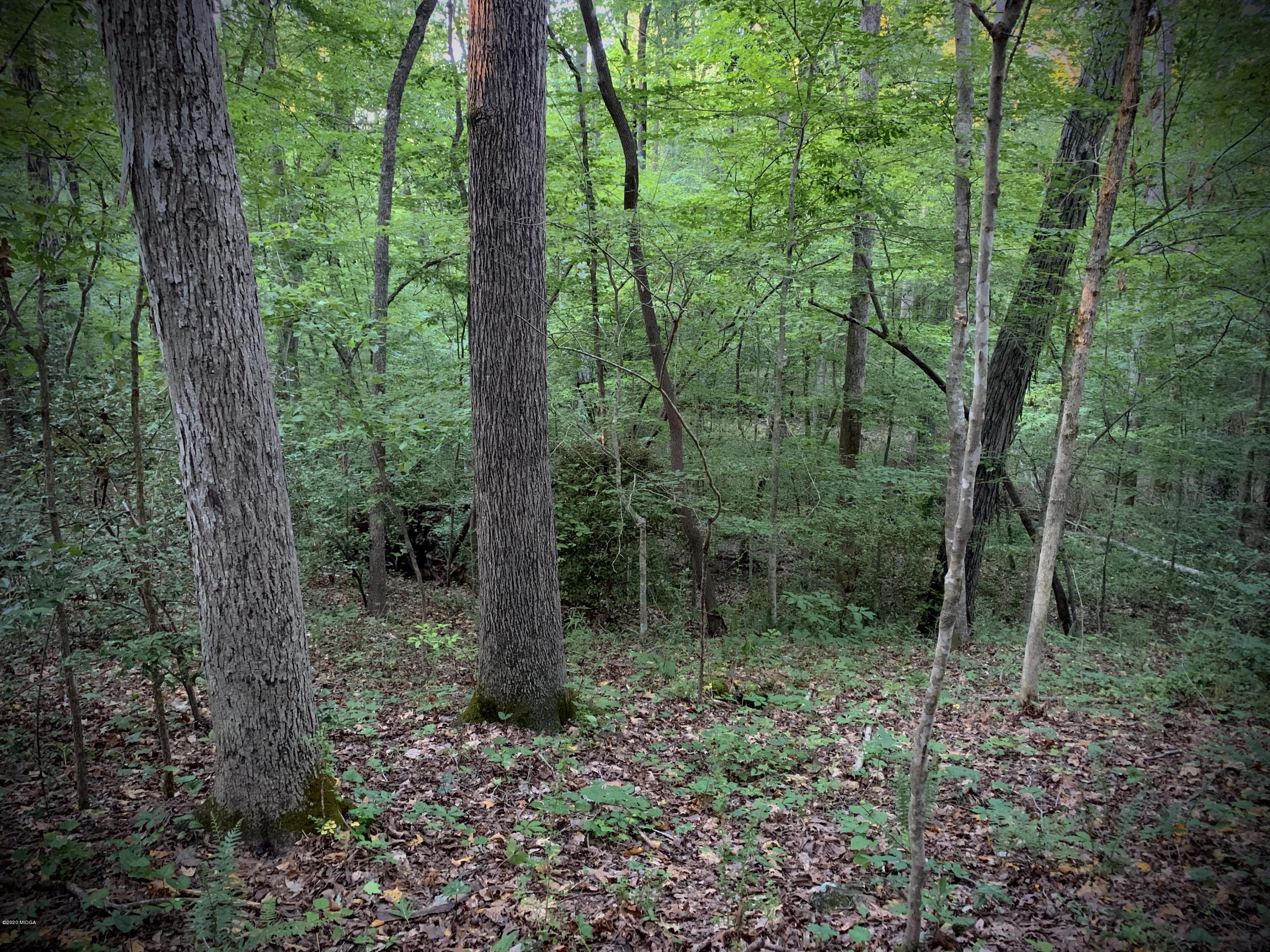 750 Kings Mountain Road Macon, GA 31210 - Photo 29 of 31 Woods Behind Home