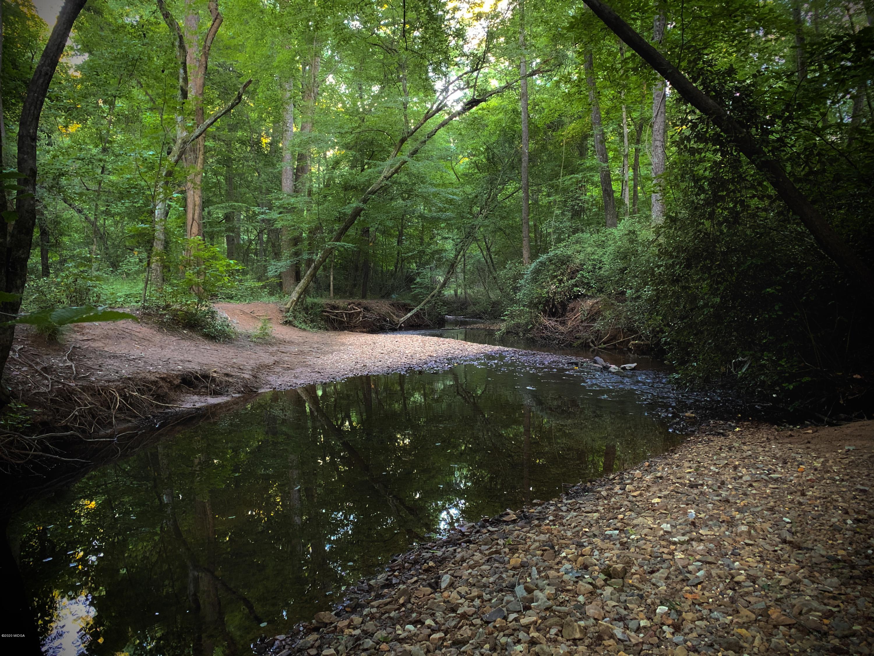 750 Kings Mountain Road Macon, GA 31210 - Photo 30 of 31 Wolf Creek at rear of property