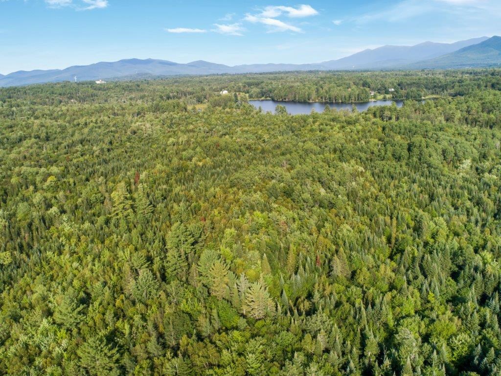 Lot 16 Whitefield Road Dalton, NH 03598 - Photo 7 of 29 Gallery Image 7