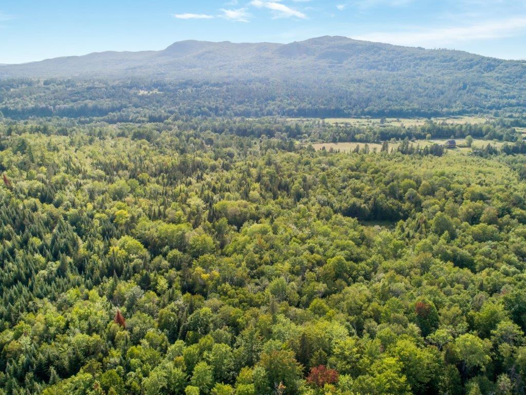 Lot 16 Whitefield Road Dalton, NH 03598 - Photo 8 of 29 Gallery Image 8