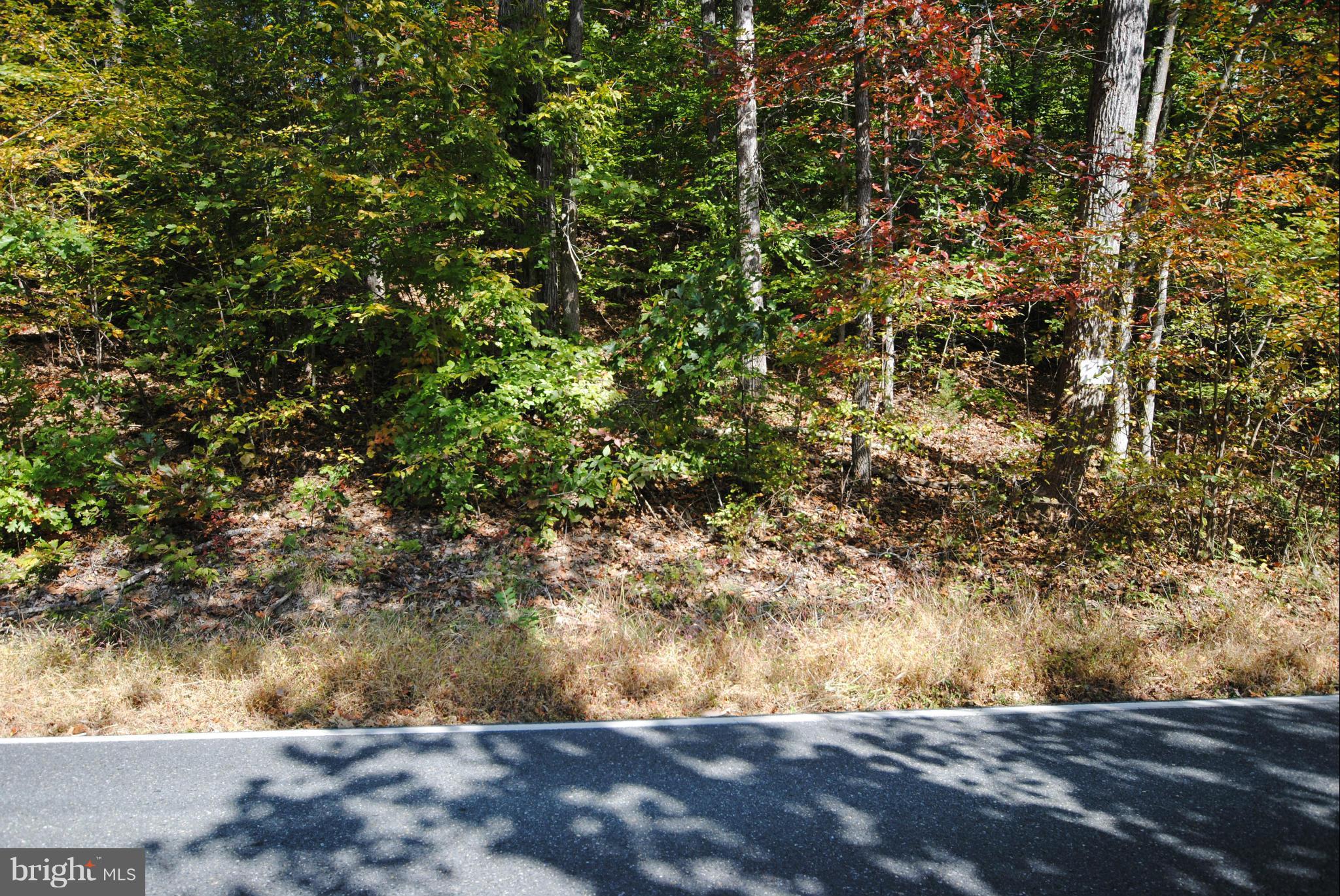234 Spotted Tavern Road Fredericksburg, VA 22406 - Photo 3 of 14 Exterior (General)