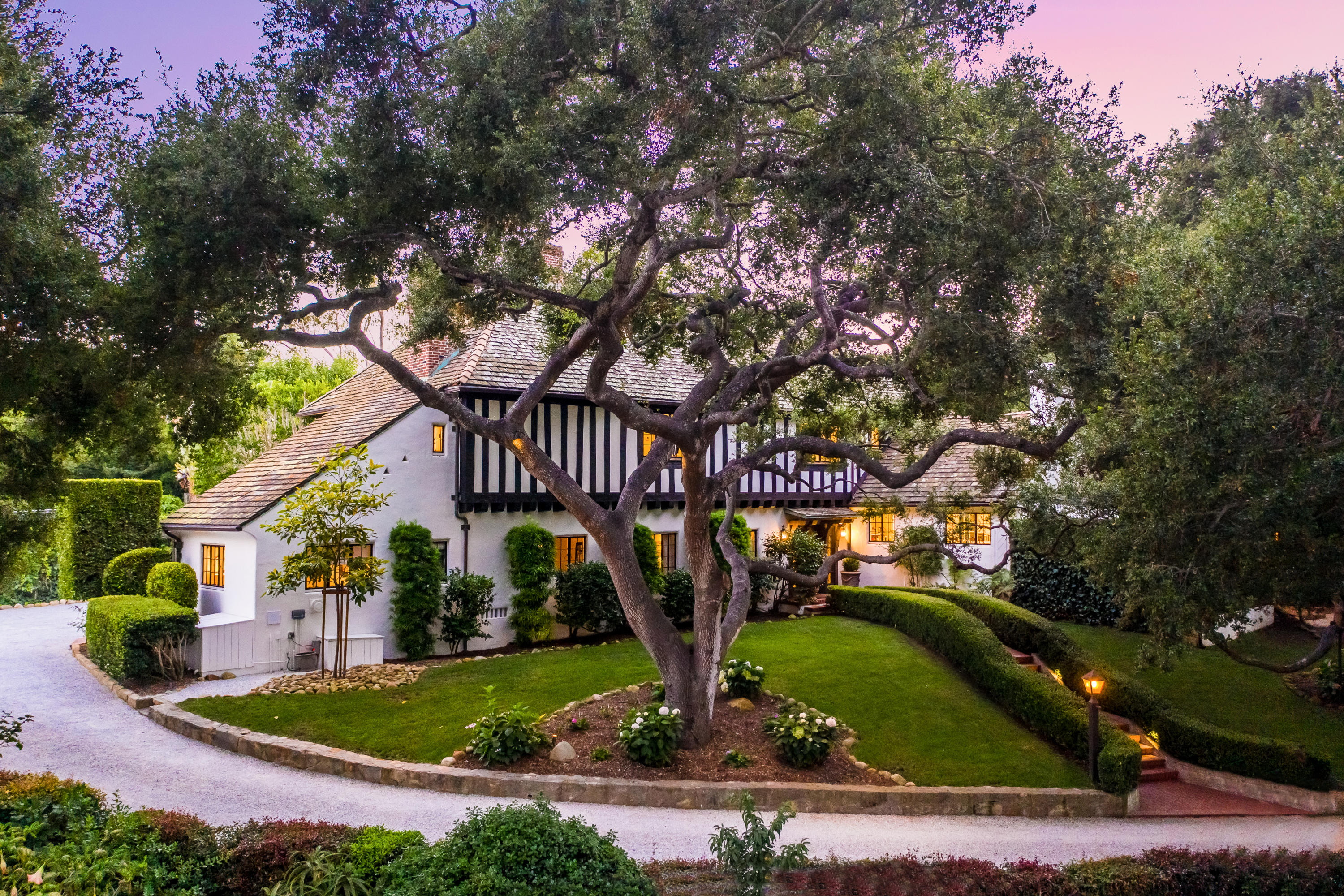 a view of a park with large trees