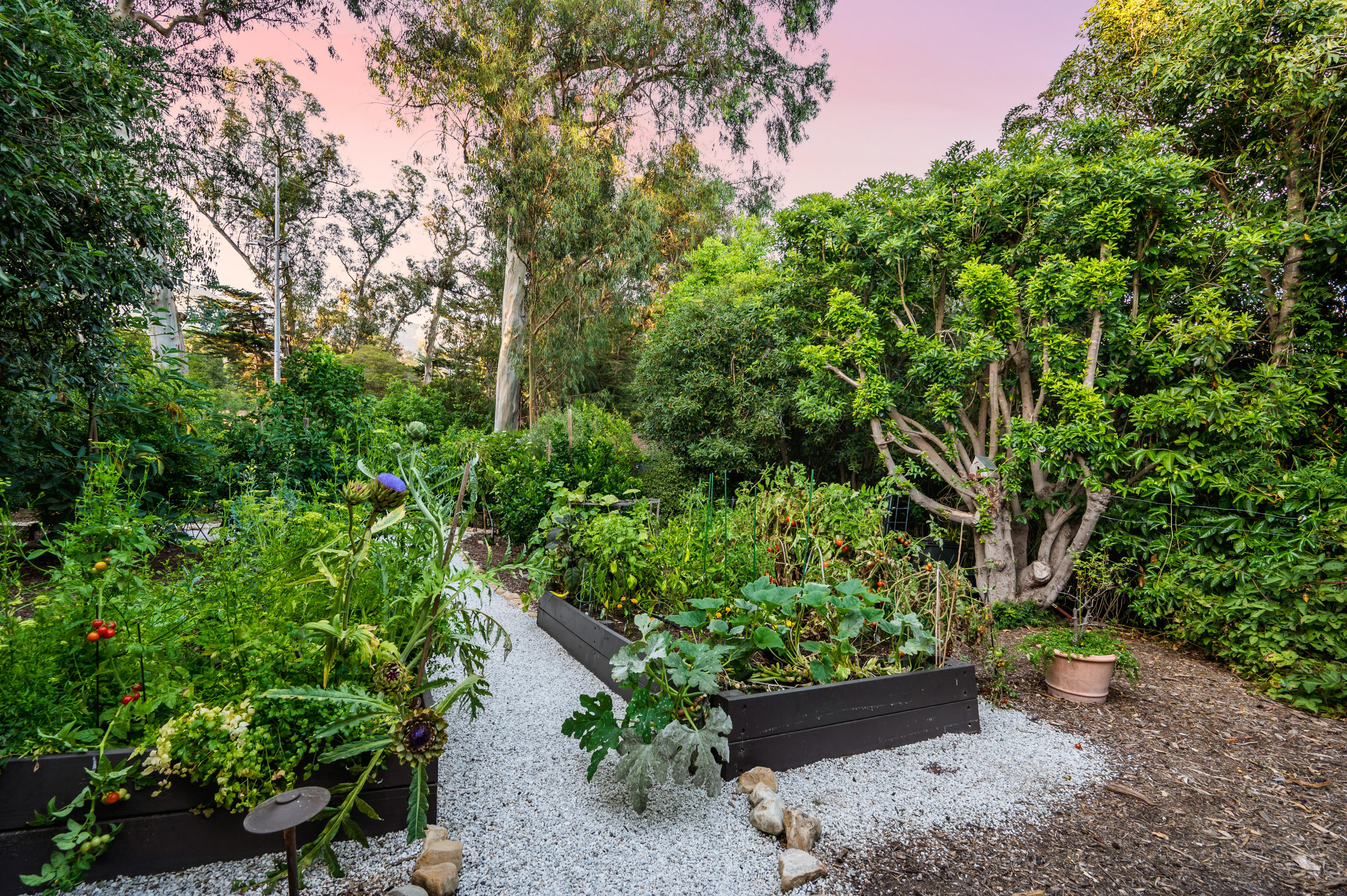 1321 School House Road Montecito, CA 93108 - Photo 18 of 34 a view of a garden with plants