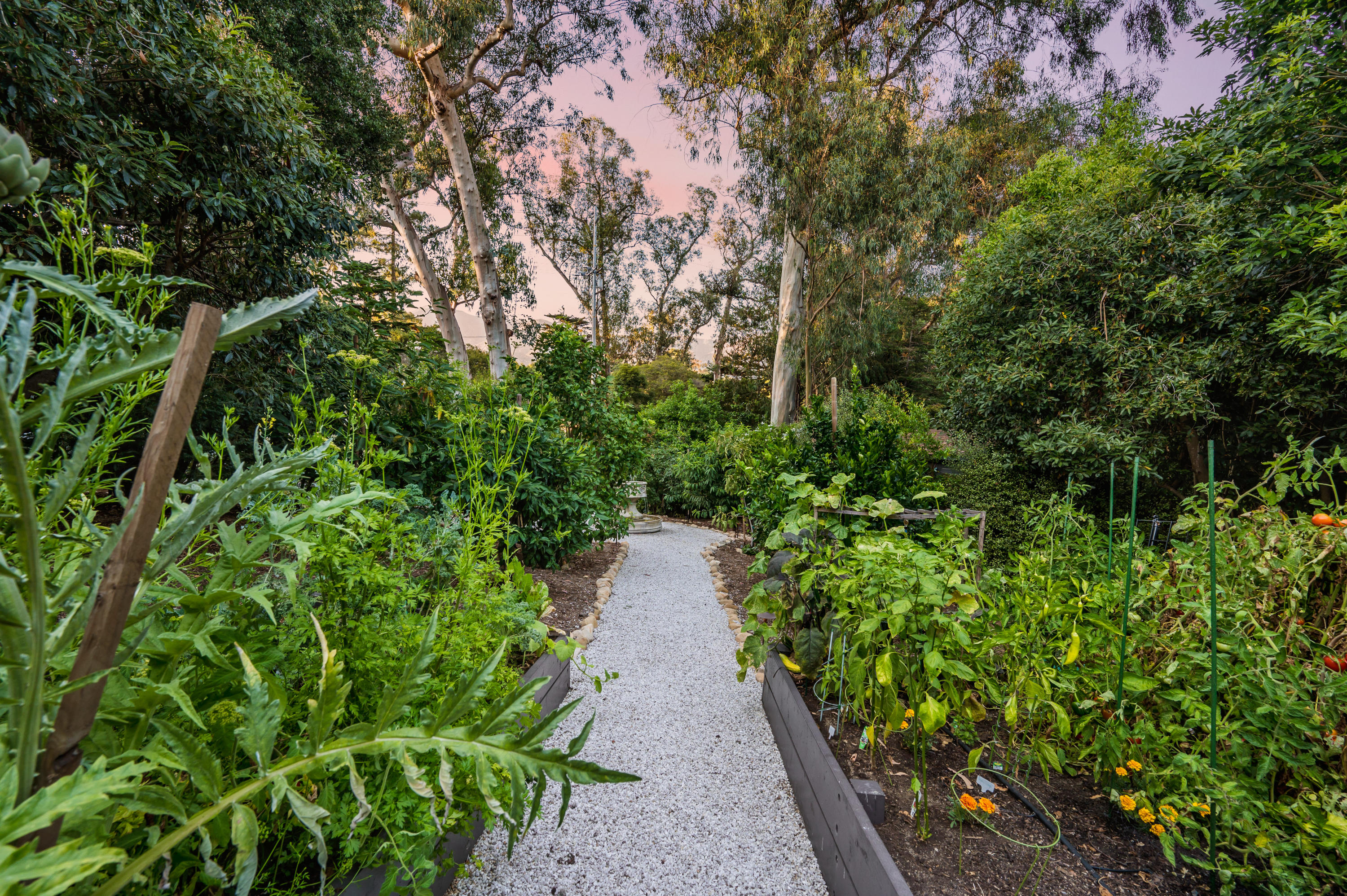 1321 School House Road Montecito, CA 93108 - Photo 19 of 34 a view of a pathway both side of yard