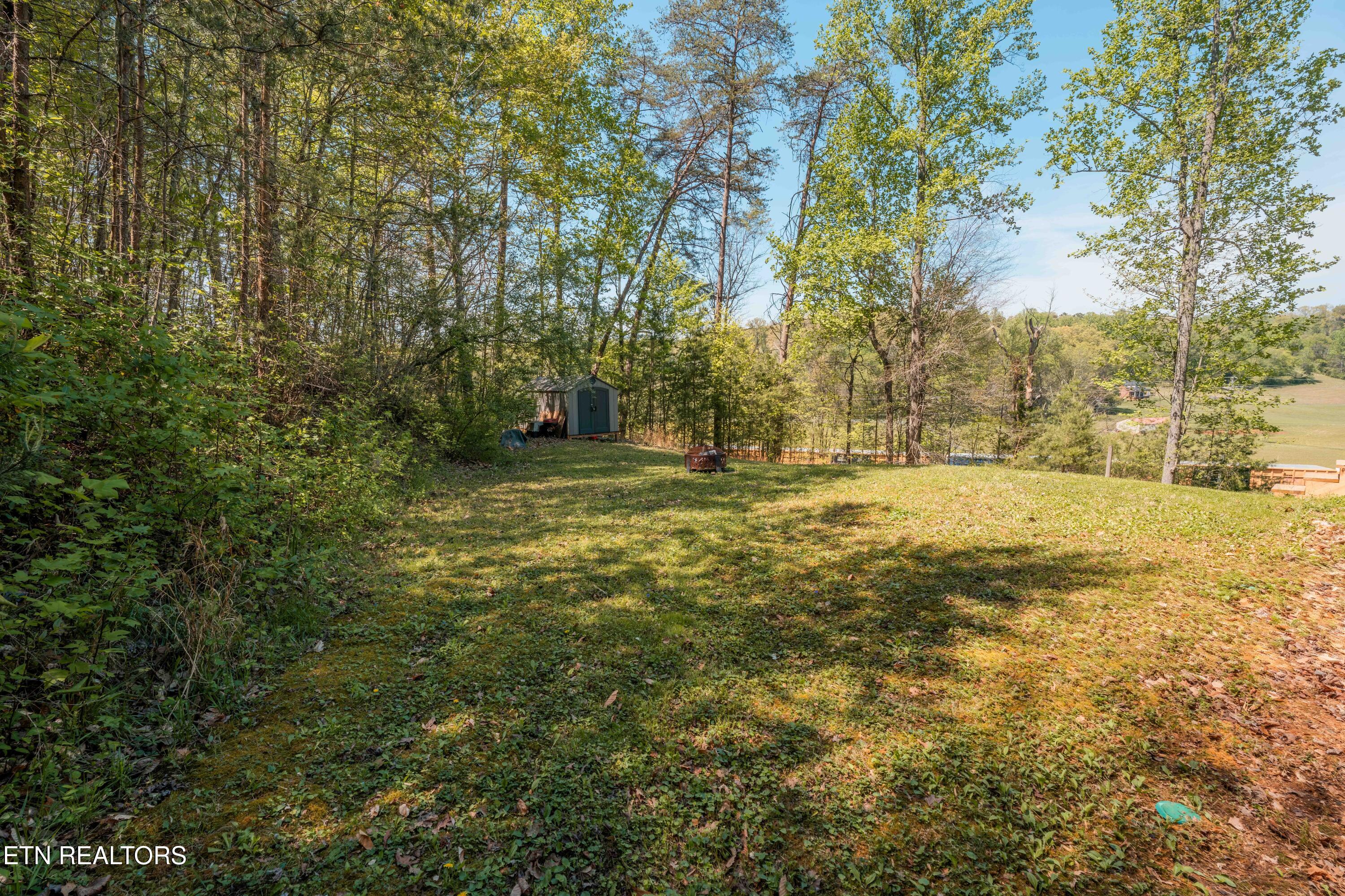 631 Laurel Road Clinton, TN 37716 - Photo 40 of 43 Yard with Scenic Views
