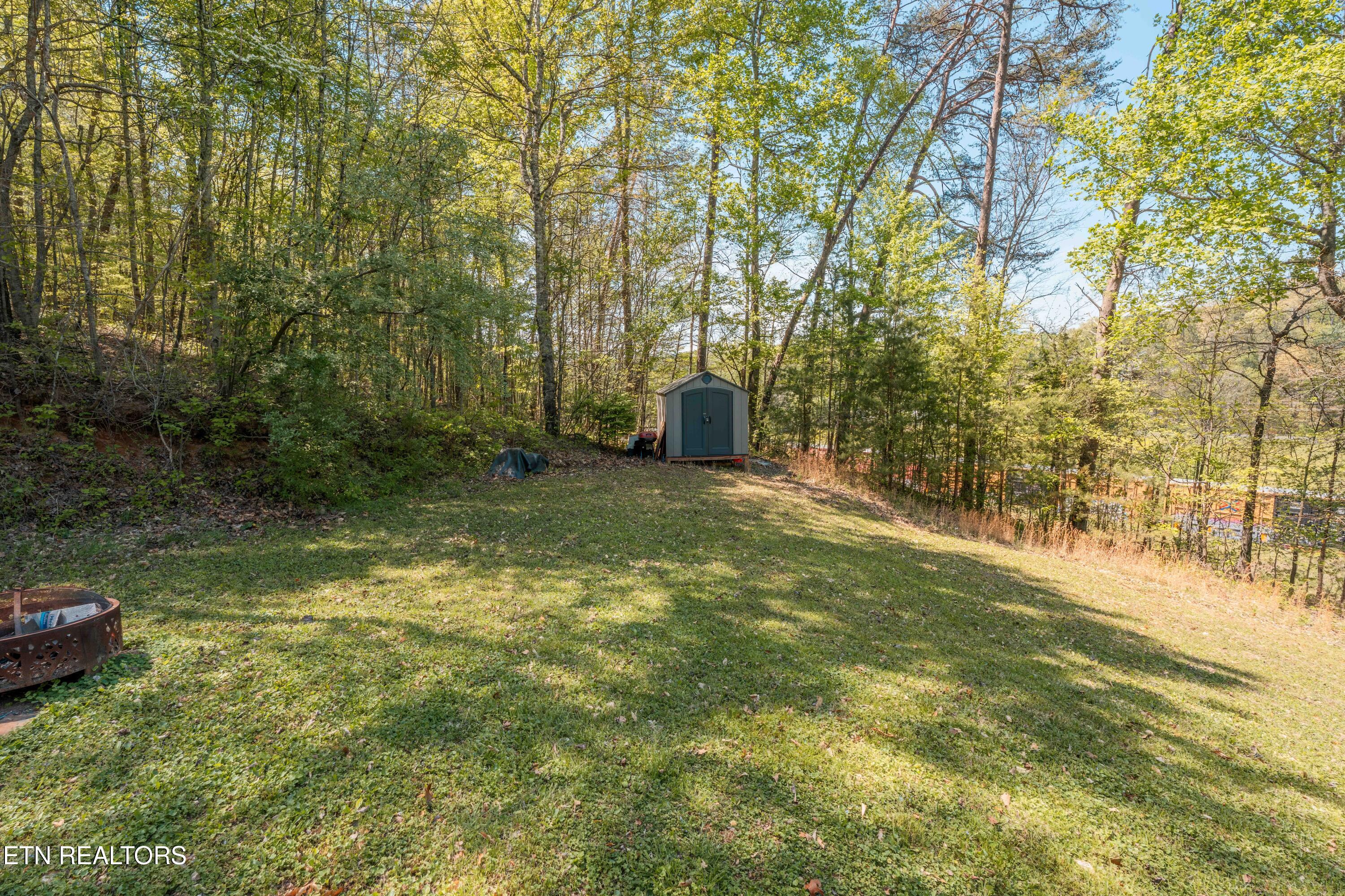 631 Laurel Road Clinton, TN 37716 - Photo 41 of 43 Yard with Scenic Views