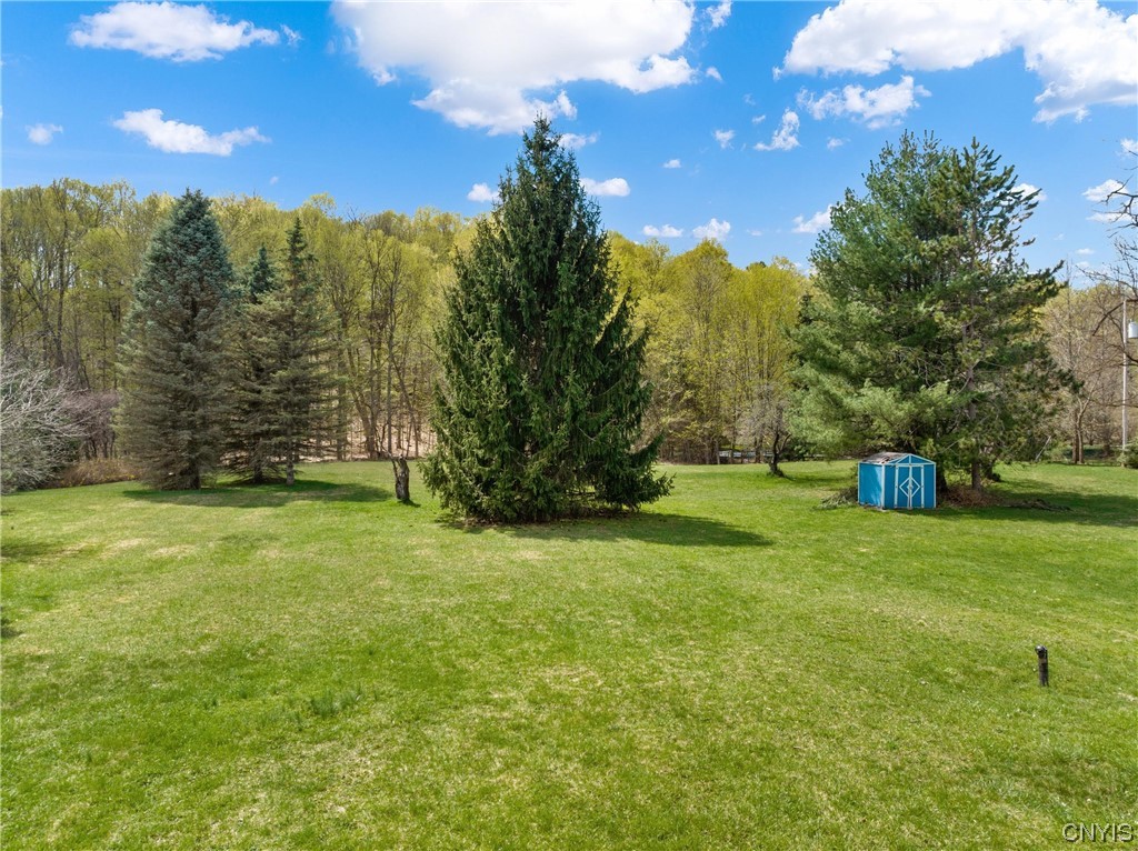 1124 Nottingham Road De Witt, NY 13078 - Photo 5 of 50