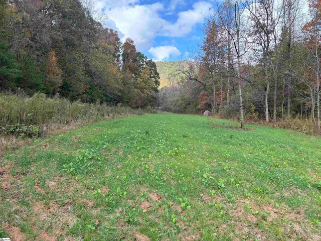 $795,000 | Shady Grove Road, Sunset, SC 29685