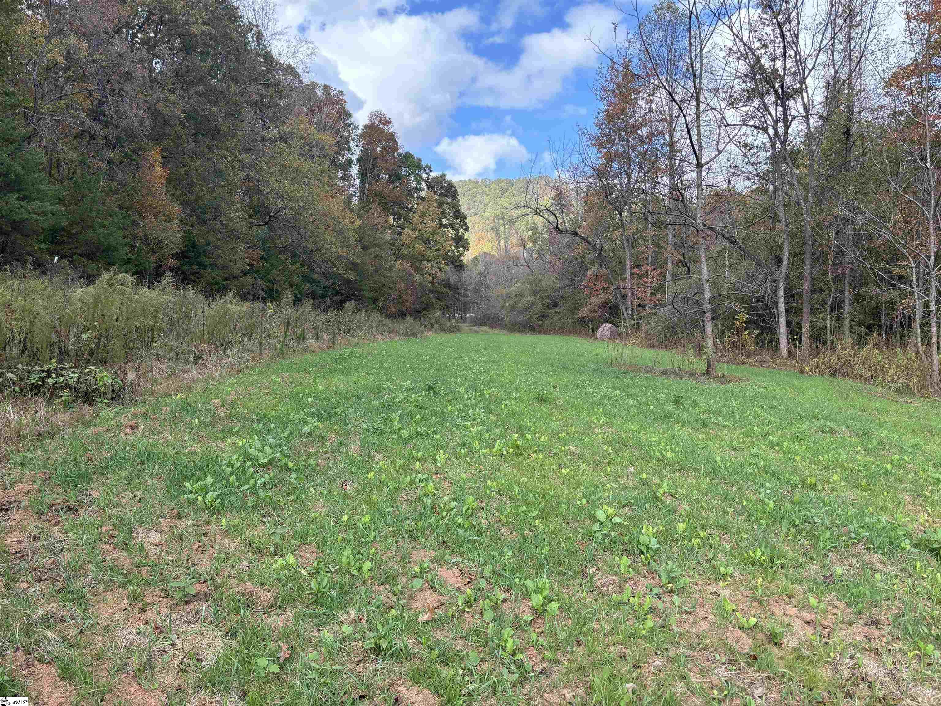 Shady Grove Road Sunset, SC 29685 - Photo 11 of 29