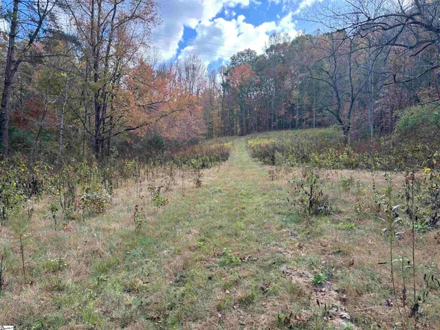 $795,000 | Shady Grove Road, Sunset, SC 29685