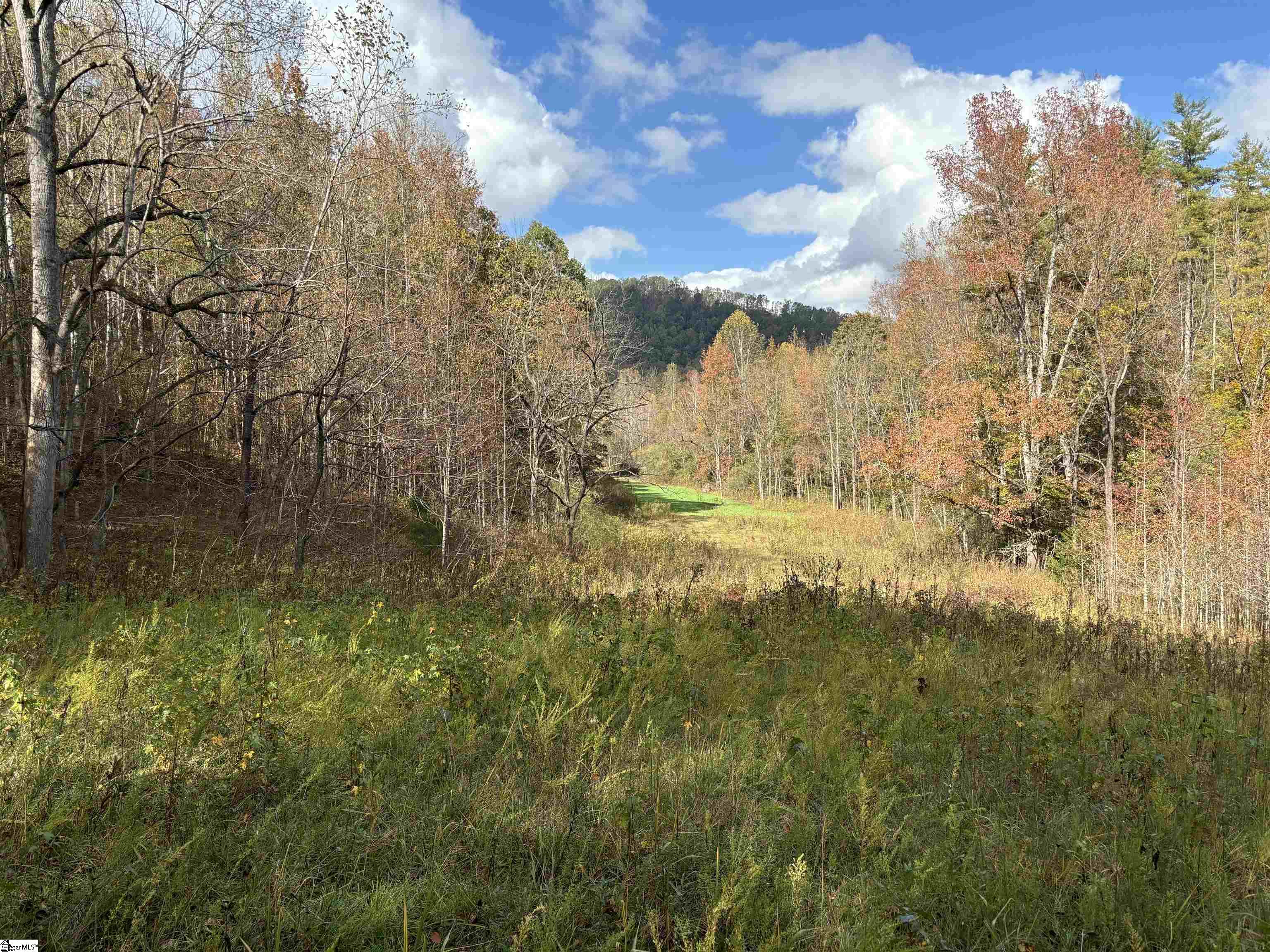 Shady Grove Road Sunset, SC 29685 - Photo 13 of 29