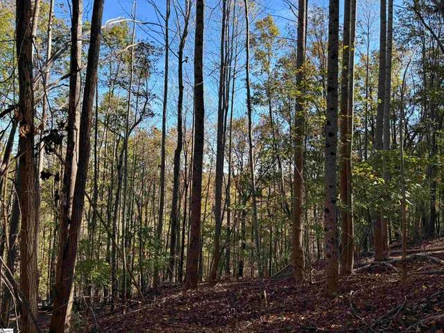 $795,000 | Shady Grove Road, Sunset, SC 29685