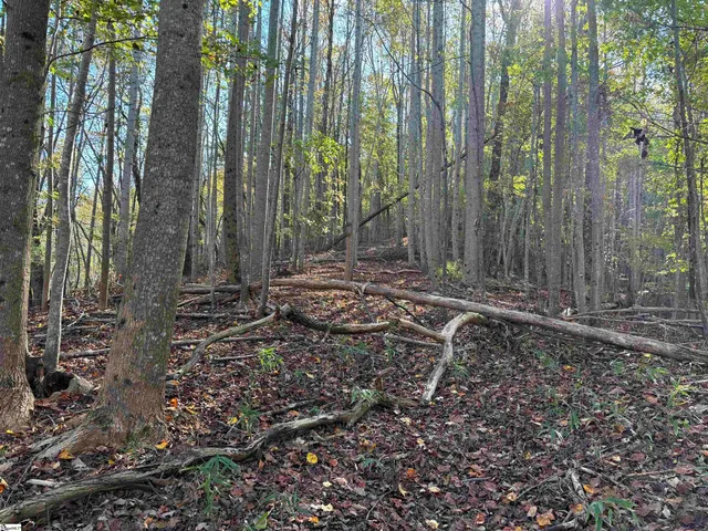 $795,000 | Shady Grove Road, Sunset, SC 29685