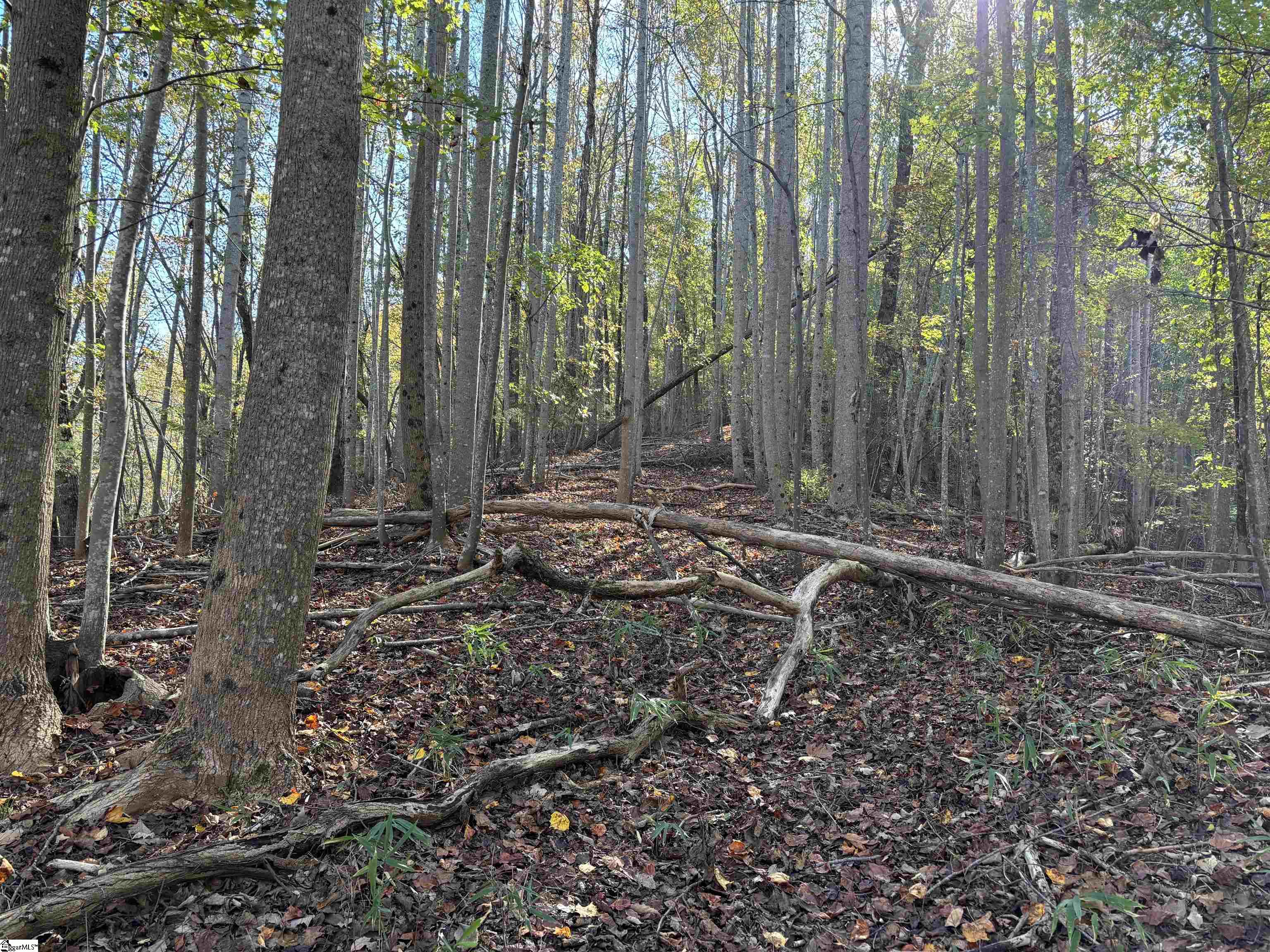 Shady Grove Road Sunset, SC 29685 - Photo 15 of 29