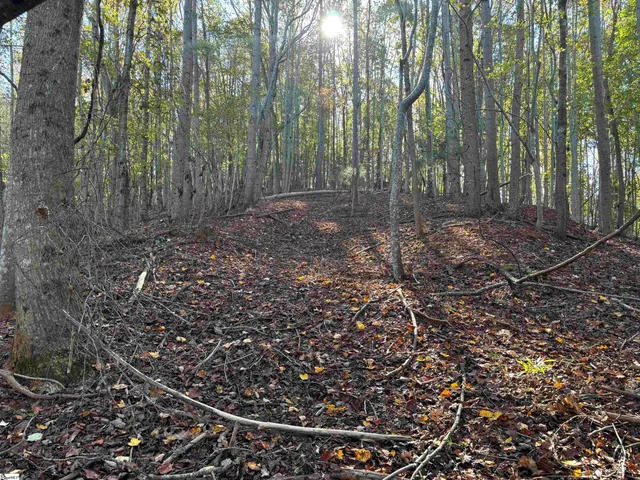 $795,000 | Shady Grove Road, Sunset, SC 29685