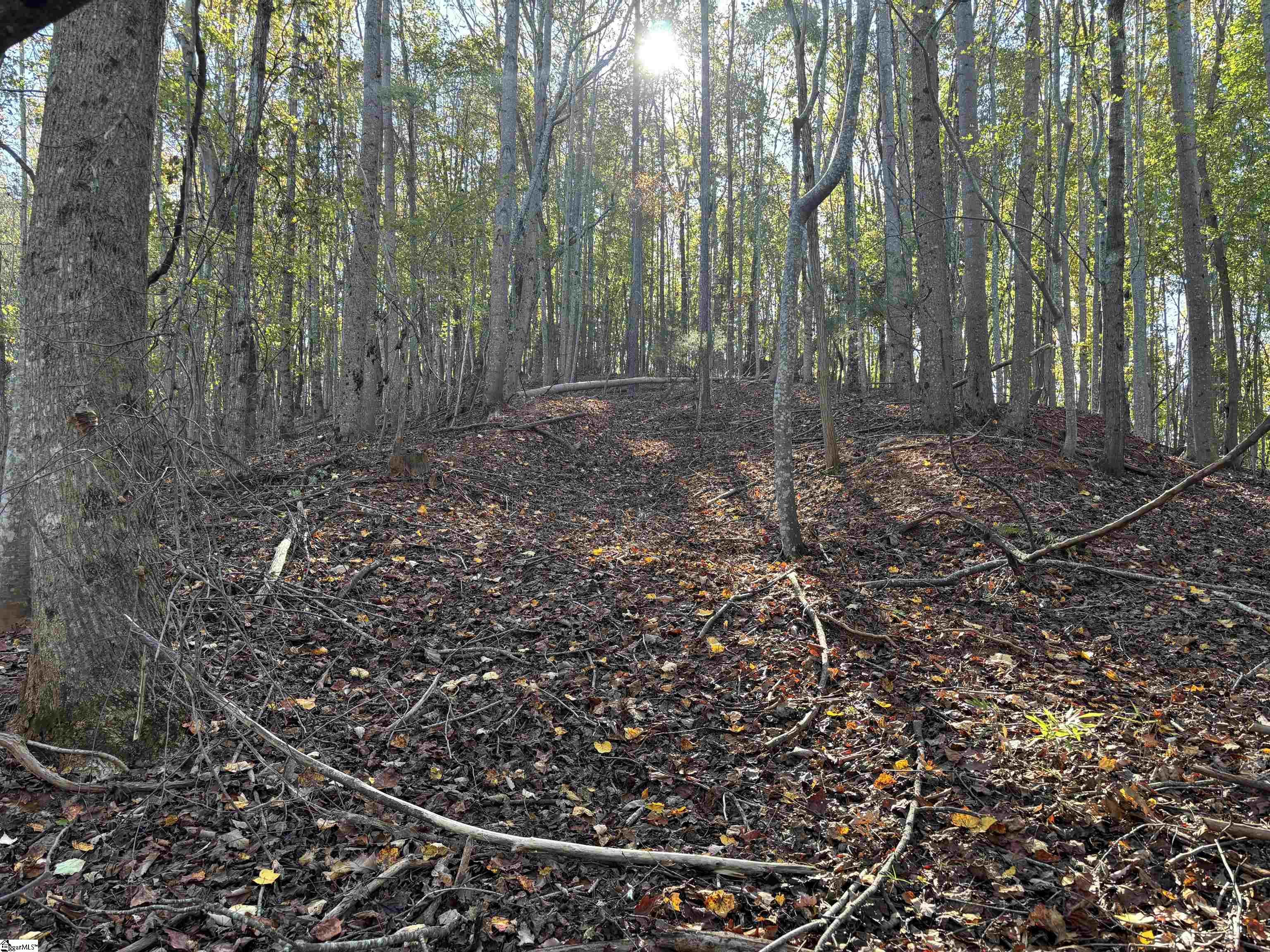 Shady Grove Road Sunset, SC 29685 - Photo 16 of 29