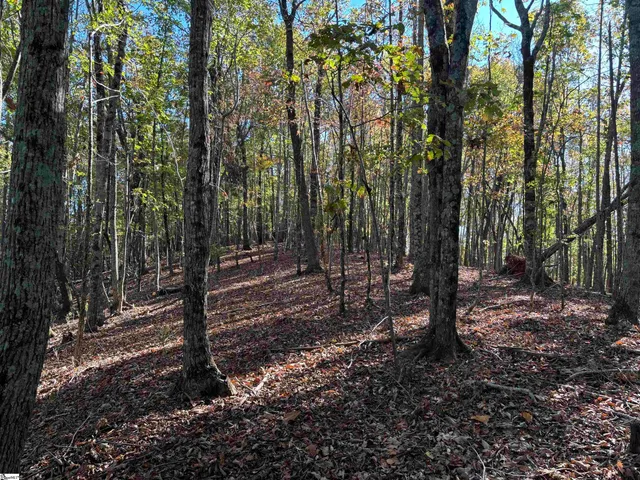 $795,000 | Shady Grove Road, Sunset, SC 29685