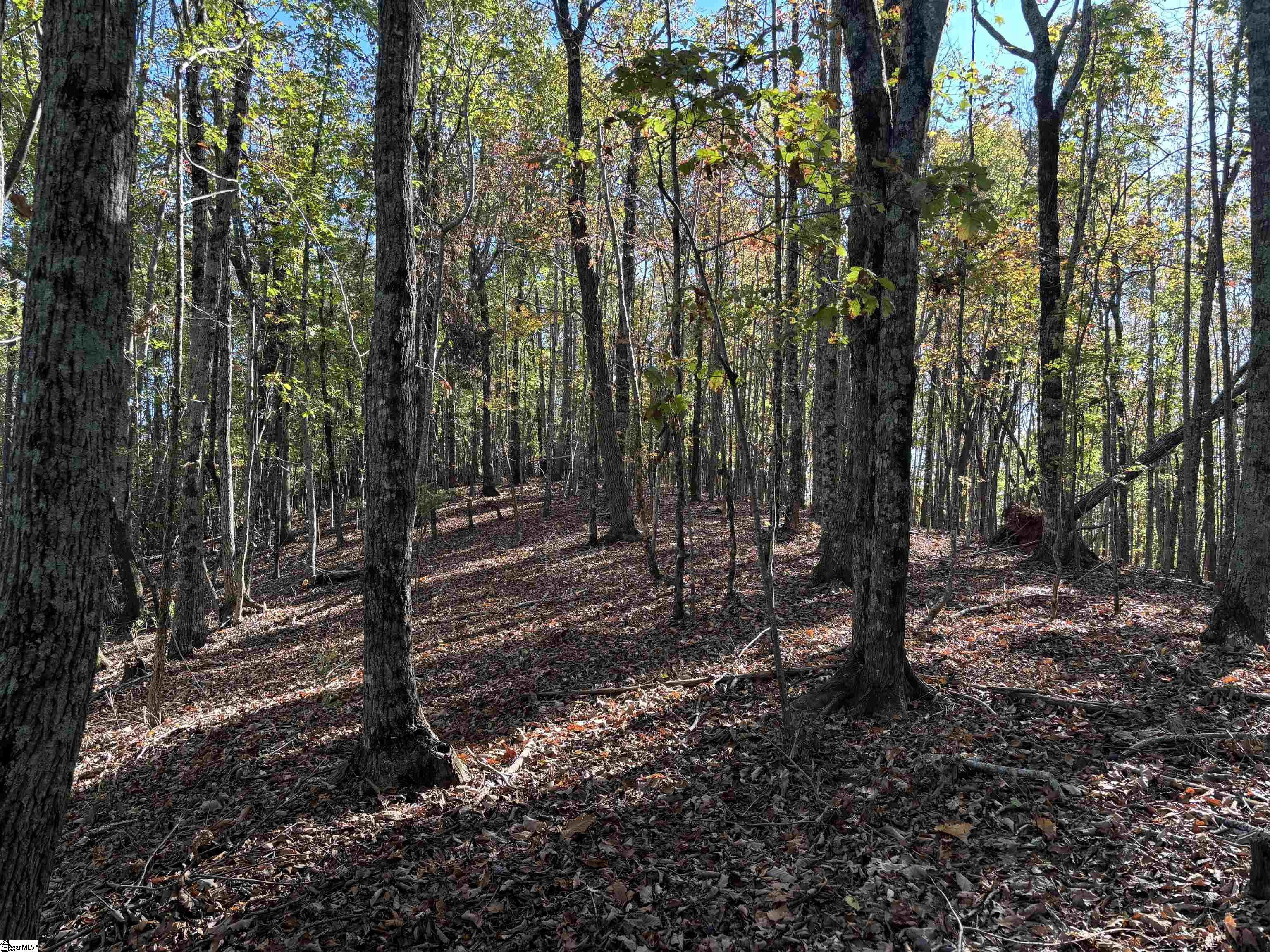 Shady Grove Road Sunset, SC 29685 - Photo 17 of 29