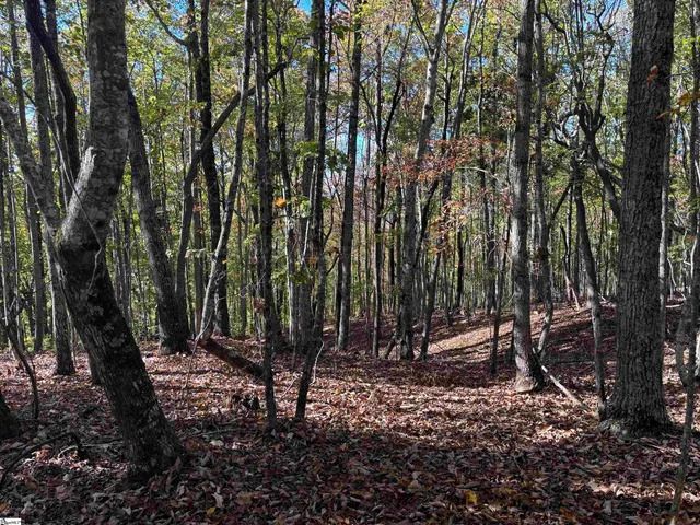 $795,000 | Shady Grove Road, Sunset, SC 29685