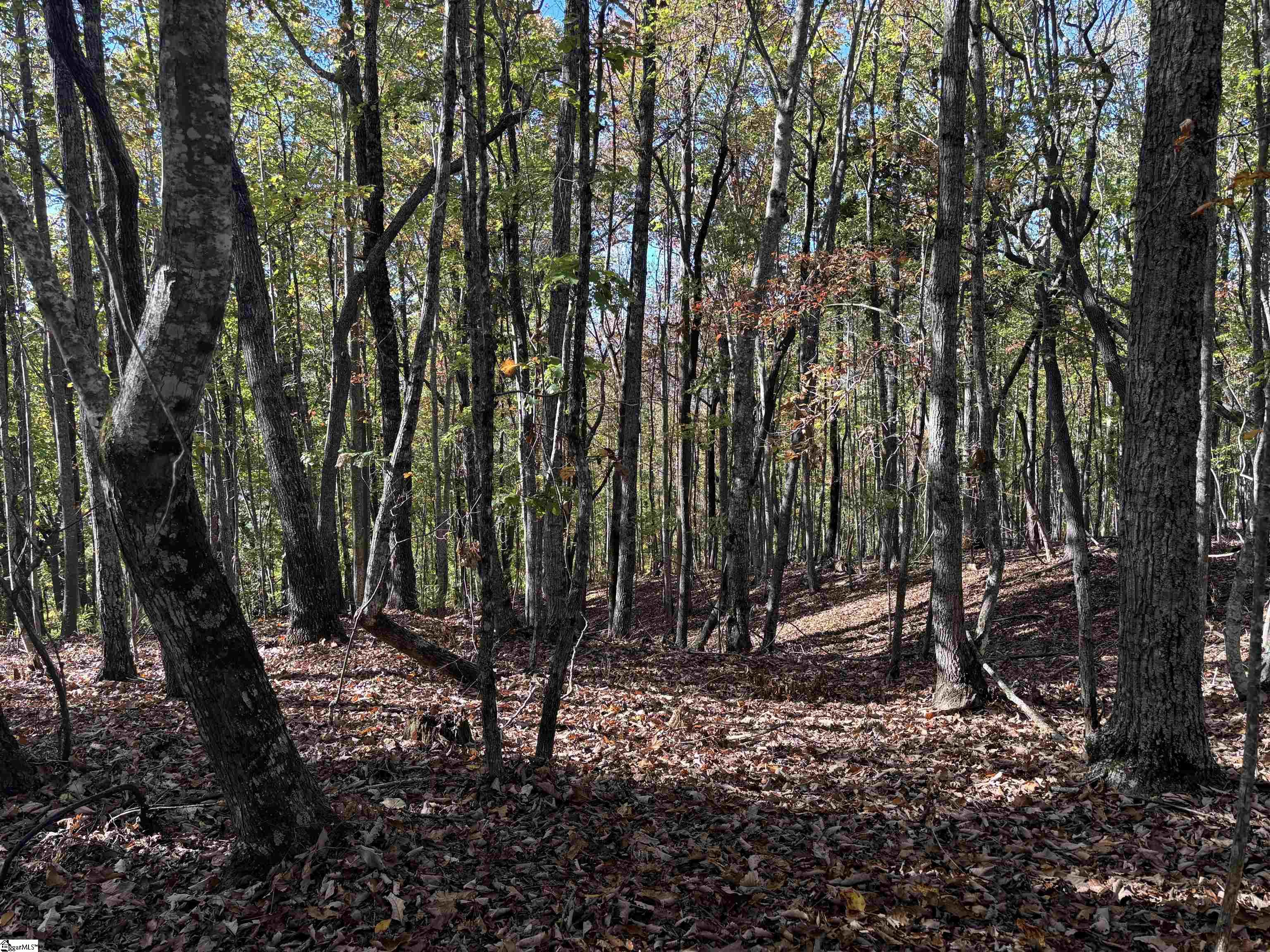 Shady Grove Road Sunset, SC 29685 - Photo 18 of 29