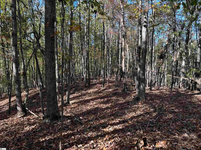 $795,000 | Shady Grove Road, Sunset, SC 29685