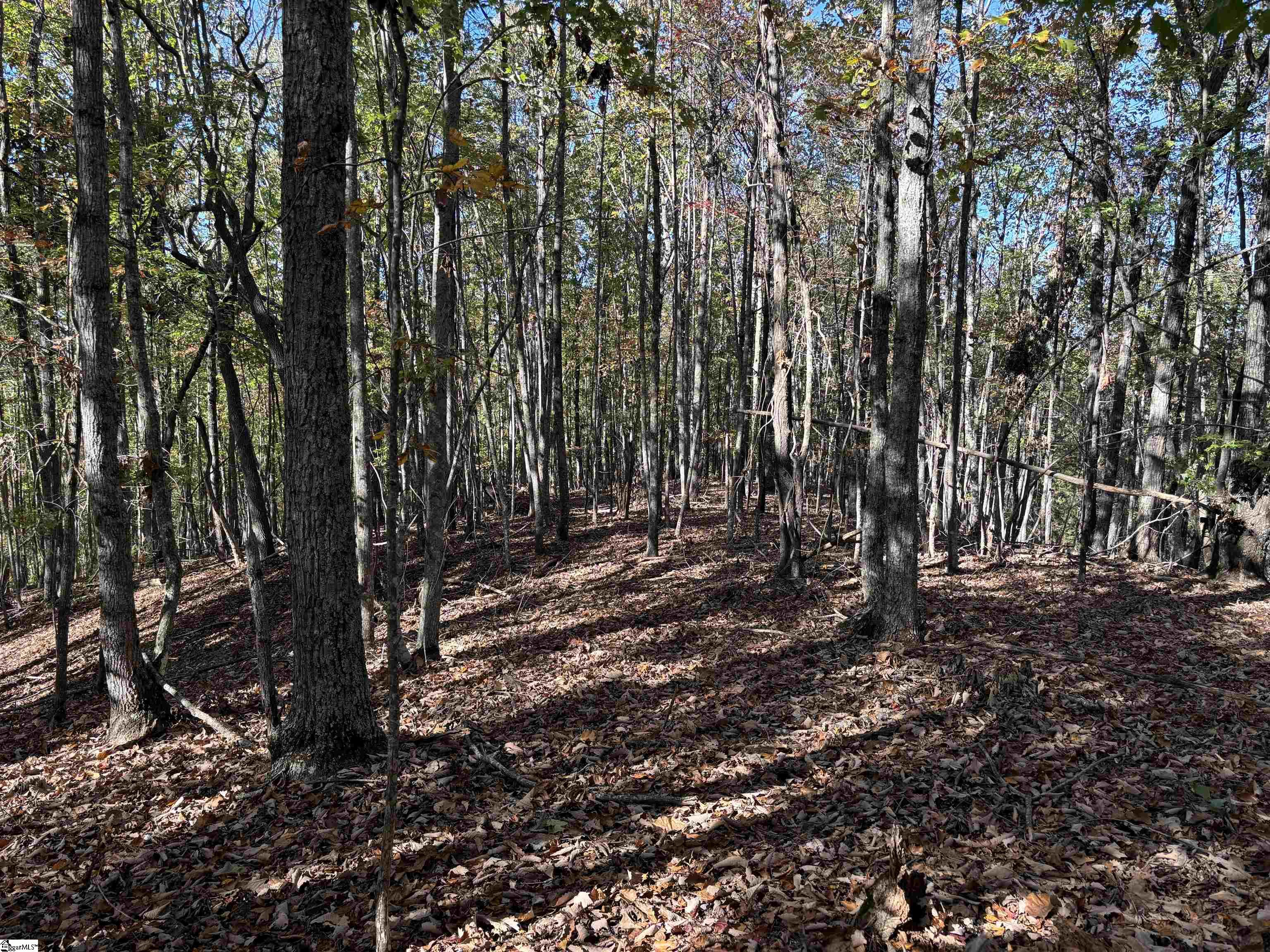 Shady Grove Road Sunset, SC 29685 - Photo 19 of 29