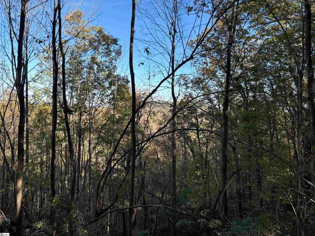 $795,000 | Shady Grove Road, Sunset, SC 29685