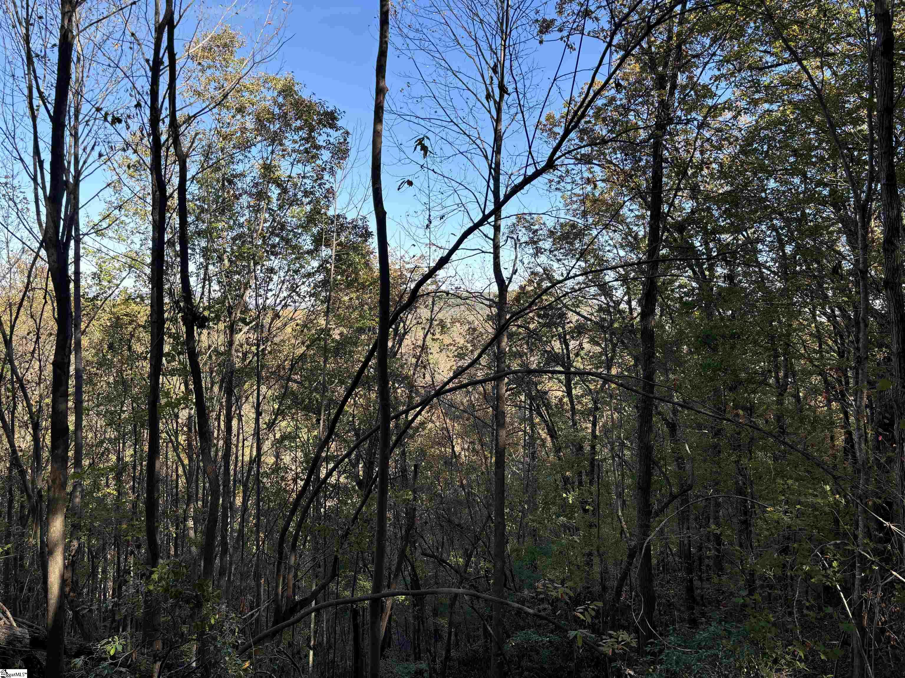 Shady Grove Road Sunset, SC 29685 - Photo 20 of 29