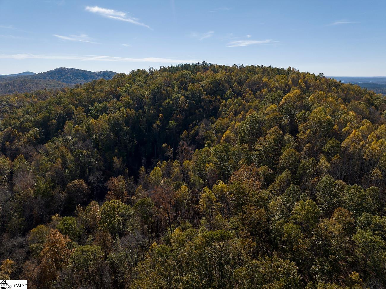 Shady Grove Road Sunset, SC 29685 - Photo 2 of 29