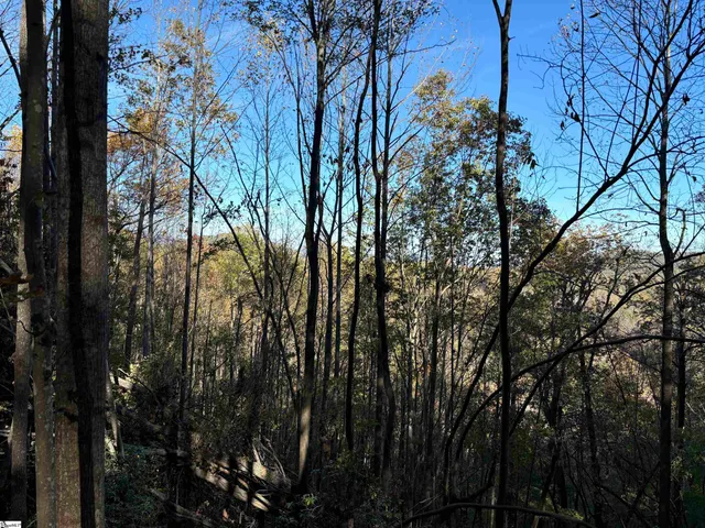 $795,000 | Shady Grove Road, Sunset, SC 29685