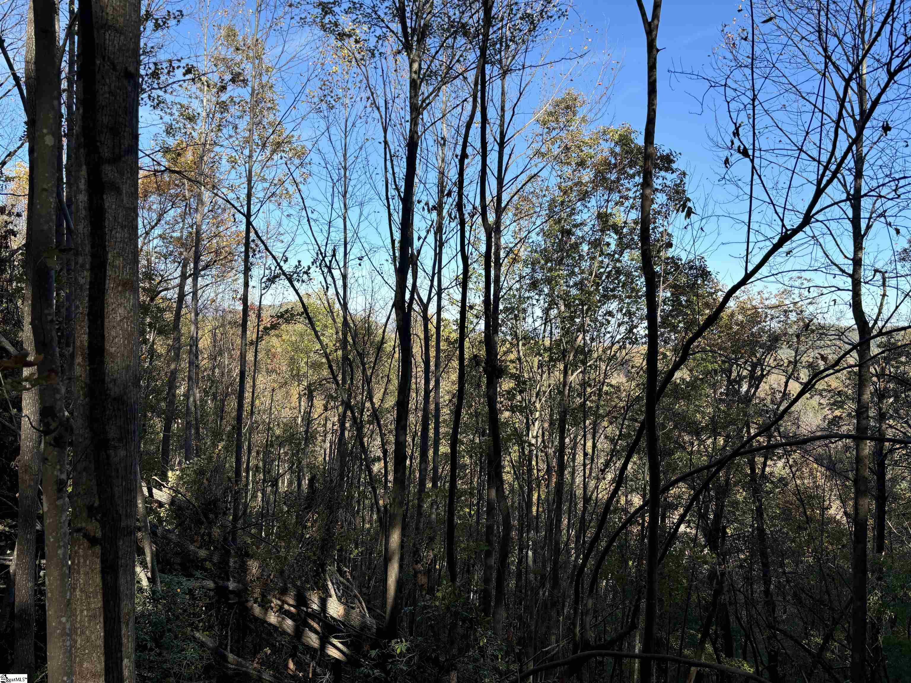 Shady Grove Road Sunset, SC 29685 - Photo 21 of 29