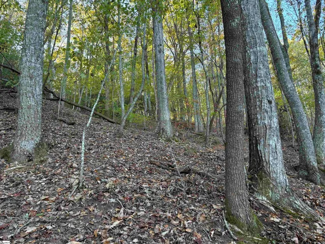 $795,000 | Shady Grove Road, Sunset, SC 29685